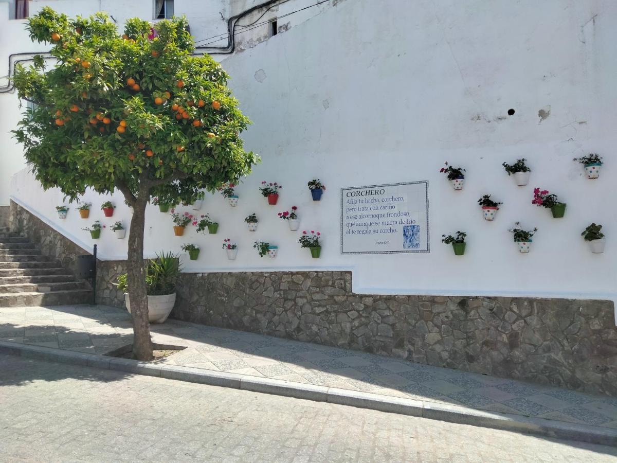 Casa Vista Vila Alcalá de los Gazules Exterior foto